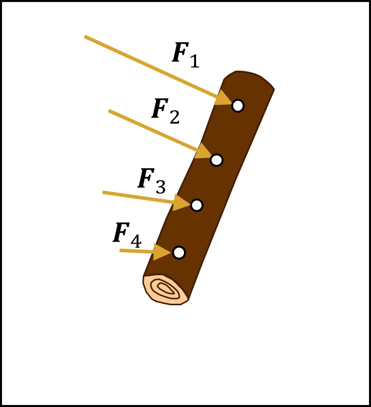 Punti in cui sono calcolate le azioni idrodinamiche sul tronco secondo il modello lagrangiano-euleriano