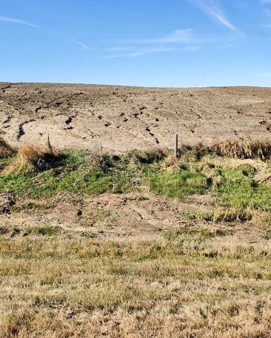 Erosione dei suoli e trasporto di sedimenti e detriti legnosi 